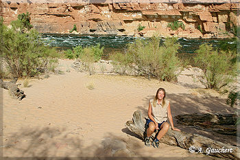 Sandstrand am Colorado River